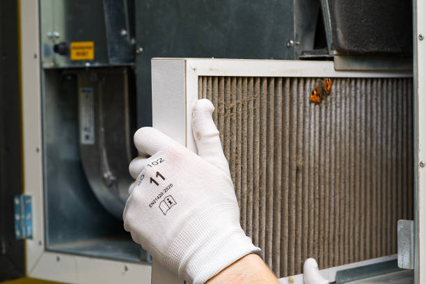 Best Professional Duct Cleaning Services  in Newfield, NJ